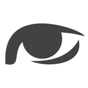 Vision Infographic – Gray
